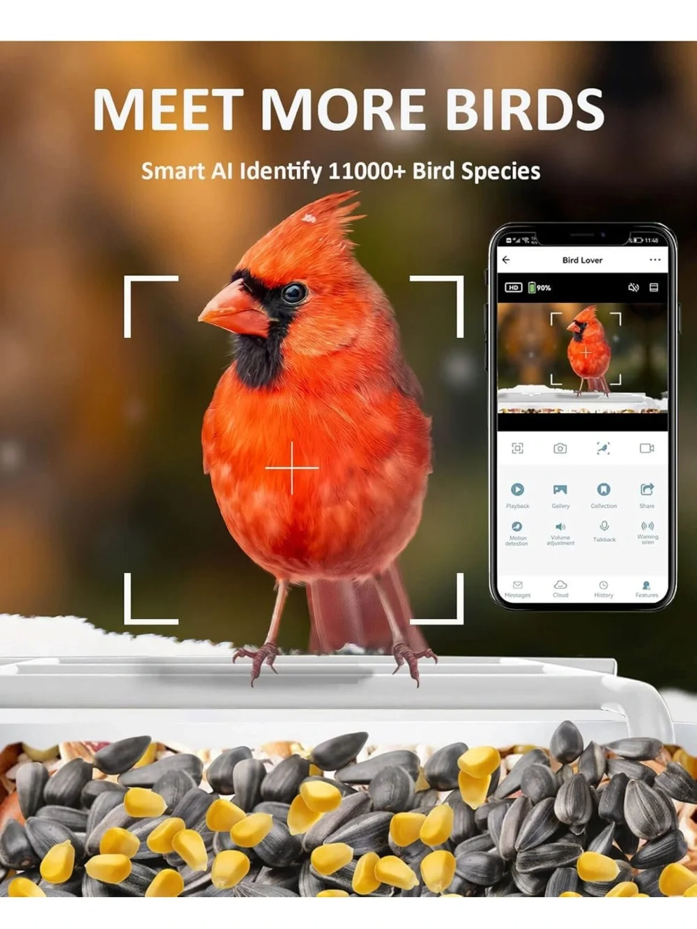 Remote Control Camera Bird Feeder – Blue/White Roof